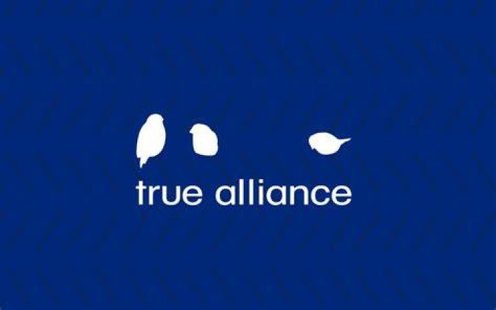 
A Diary Session Of True Alliance Revelations 