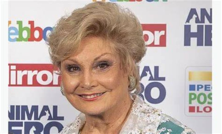 
Angela Rippon Lesbian: Sexuality Partner And Dating History 