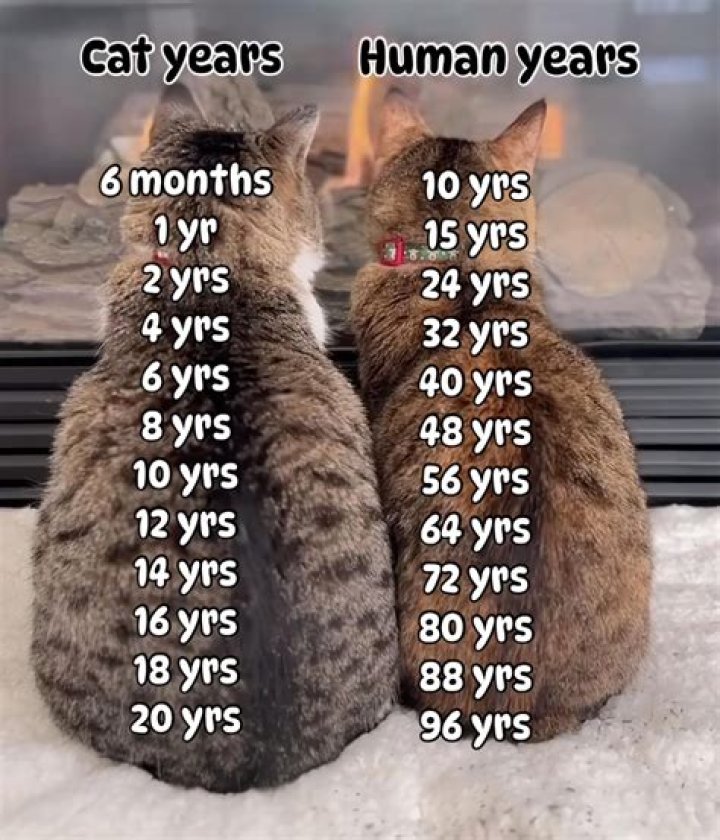 Freshy DaGeneral Age: How Old Is He?