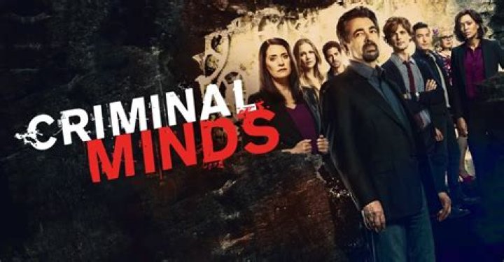 How Many Seasons of ‘Criminal Minds’ Are on Netflix?