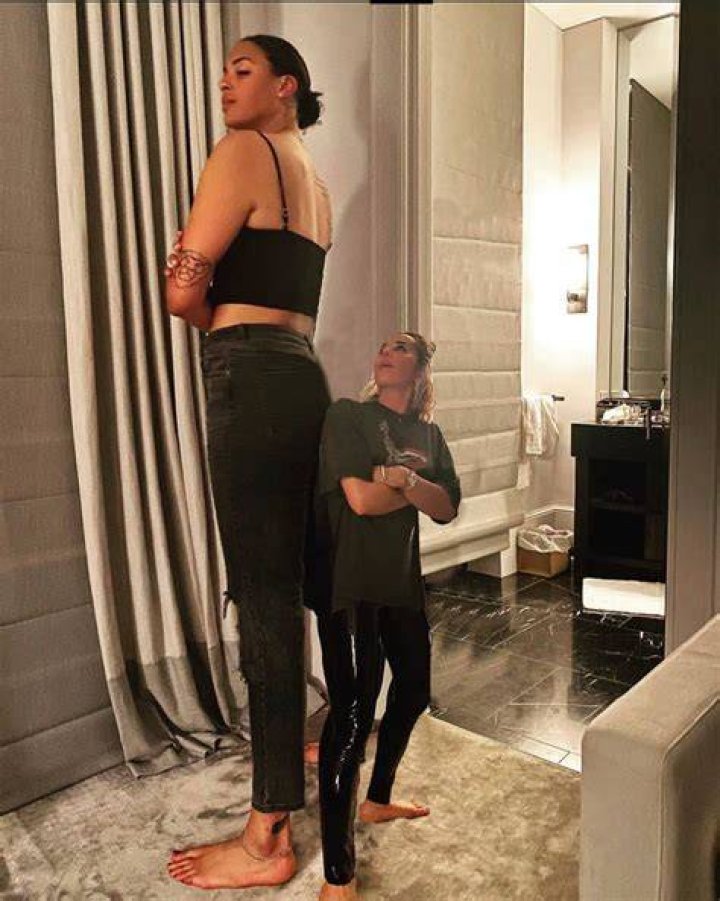 Image of How tall are trees in meters?