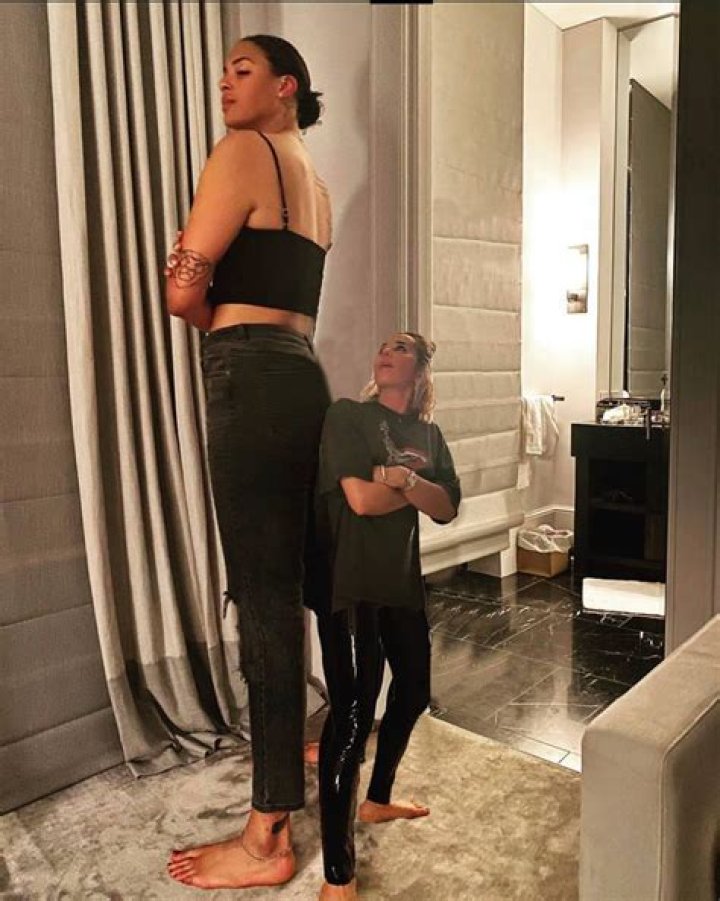 Image of How tall is a average tree?