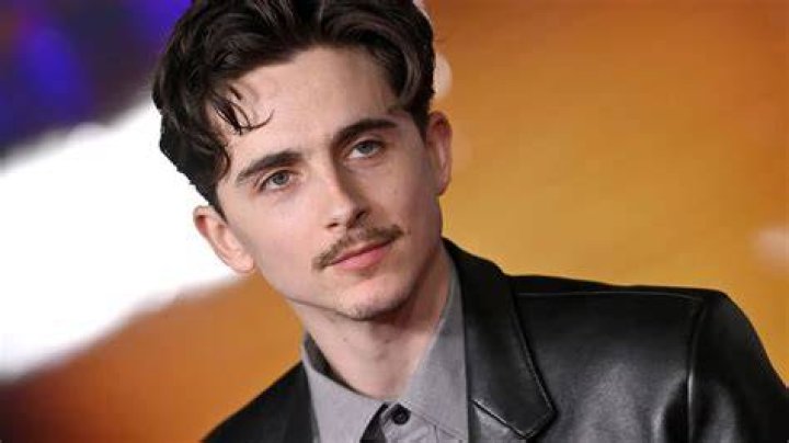 Is Timothee Chalamet Gay? Sexuality Explored