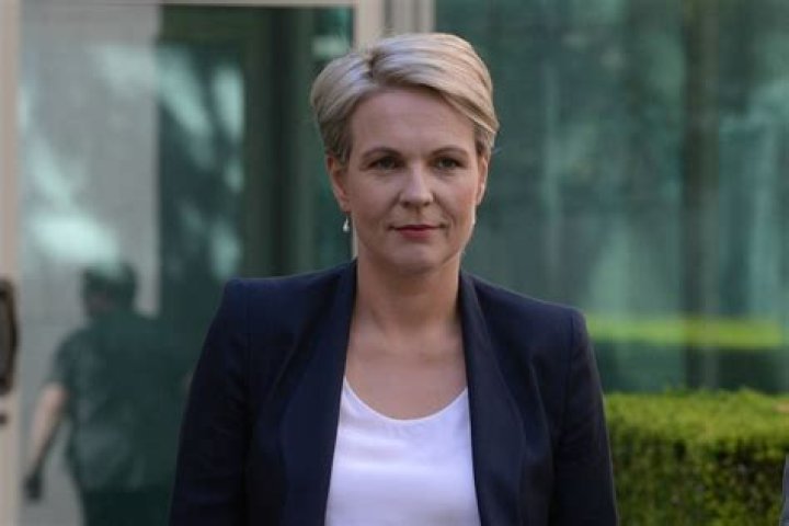 
Tanya Plibersek Height, Weight, Net Worth, Age, Birthday, Wikipedia, Who, Nationality, Biography 