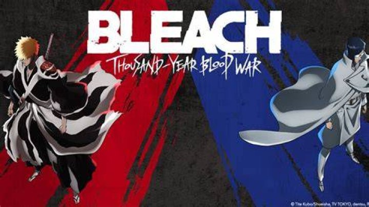 
What Is Coming Out of Bleach Thousand Year Blood War Part 2? 