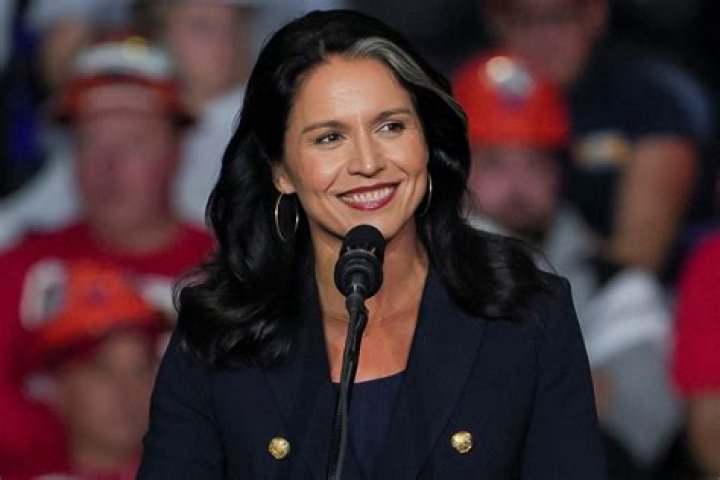 
Why Did Tulsi Gabbard Retire? Arrest Charge And Net Worth 
